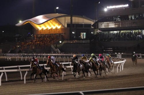 140925_門別競馬ナイトレース体験