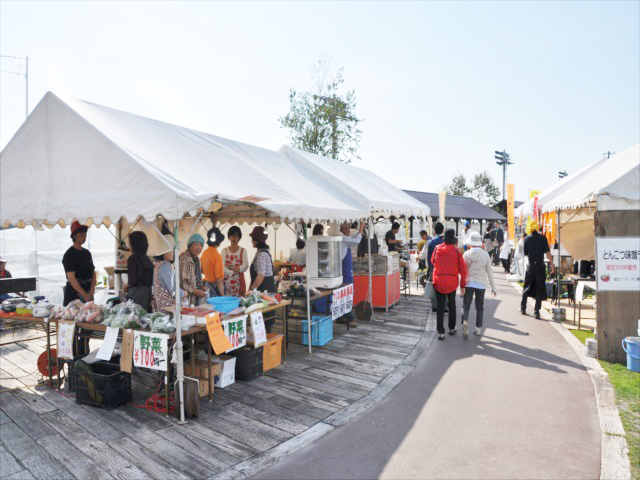 平取町　馬　競馬体験