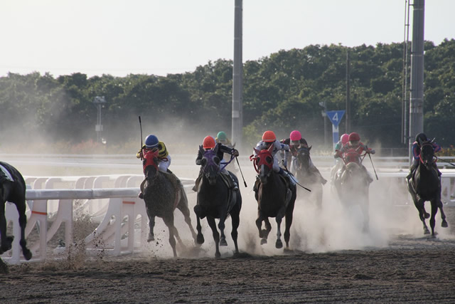 ホッカイドウ競馬　門別競馬