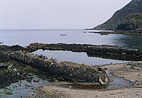 上美谷の船倉ノ袋澗の写真