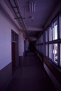 根釧農業試験場旧庁舎「伝成館」（旧北海道立根釧農業試験場庁舎）の写真