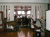 網走市立郷土博物館（旧北見教育委員会網走博物館）の写真