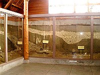 網走市立郷土博物館分館モヨロ貝塚館の写真