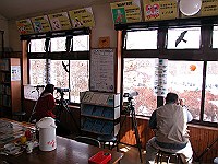 財団法人日本野鳥の会「鶴居・伊藤タンチョウサンクチュアリ」の写真