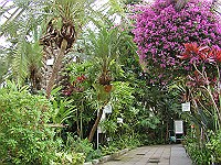 函館市営熱帯植物園の写真