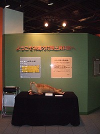 神恵内村郷土資料館の写真