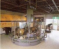 のぼりべつクマ牧場ヒグマ博物館の写真